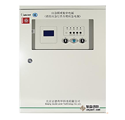 天津利達GD-D-0.5KVA-201消防應急燈具專用應急電源